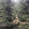wf_ladir_las-vals_fs-3.2_2021.jpg