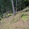 20161001-0004-foto-1c.jpg