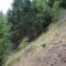 20161001-0011-foto-5.jpg