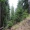 20161001-0012-foto-3a.jpg