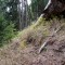 20161001-0014-foto-3d.jpg