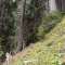 20161001-0017-foto-4b.jpg