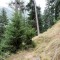 20161001-0019-foto-1b.jpg