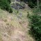 20161001-0021-foto-1d.jpg
