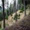20161001-0022-foto-2a.jpg