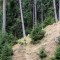 20161001-0027-foto-2b.jpg
