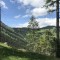 wf_versam_birchegga_fs-1.2_2021.jpg