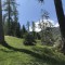 wf_versam_birchegga_fs-1.4_2021.jpg