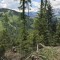 wf_versam_birchegga_fs-2.2_2021.jpg