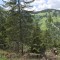 wf_versam_birchegga_fs-2.3_2021.jpg