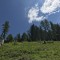wf_versam_birchegga_fs-3.1_2021.jpg