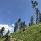 wf_versam_birchegga_fs-3.2_2021.jpg