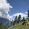 wf_versam_birchegga_fs-3.3_2021.jpg