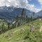 wf_versam_birchegga_fs-3.4_2021.jpg