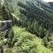 wf_versam_birchegga_fs-5.2_2021.jpg