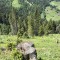 wf_versam_birchegga_fs-5.3_2021.jpg