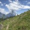 wf_versam_birchegga_fs-5.5_2021.jpg