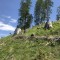 wf_versam_birchegga_fs-5.6_2021.jpg