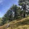 img_1954.jpeg
