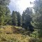 img_1958.jpeg