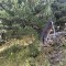 img_1974.jpeg