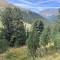 img_1979.jpeg