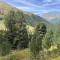 img_1980.jpeg