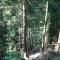 wf_falera_val-da-cafegns_fs-1.2_2018.jpg