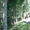 wf_falera_val-da-cafegns_fs-3.1_2018.jpg