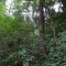 image014.jpg