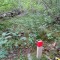 image016.jpg