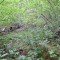 image020.jpg