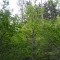 image022.jpg