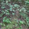 image034.jpg
