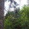 image044.jpg