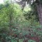 image046.jpg