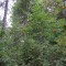 image054.jpg
