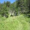 img_0916.jpg