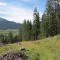 img_0917.jpg