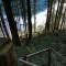 wf_poschiavo_i_cole-1.jpg