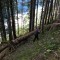 wf_poschiavo_i_cole-10.jpg