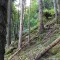 wf_poschiavo_i_cole-12.jpg
