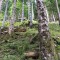 wf_poschiavo_i_cole-13.jpg