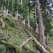 wf_poschiavo_i_cole-14.jpg