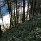 wf_poschiavo_i_cole-2.jpg