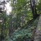 wf_poschiavo_i_cole-3.jpg