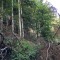 wf_poschiavo_i_cole-5.jpg