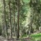 wf_ramosch_tramblai-01.jpg