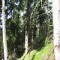 wf_ramosch_tramblai-03.jpg