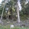 wf_ramosch_tramblai-13b.jpg